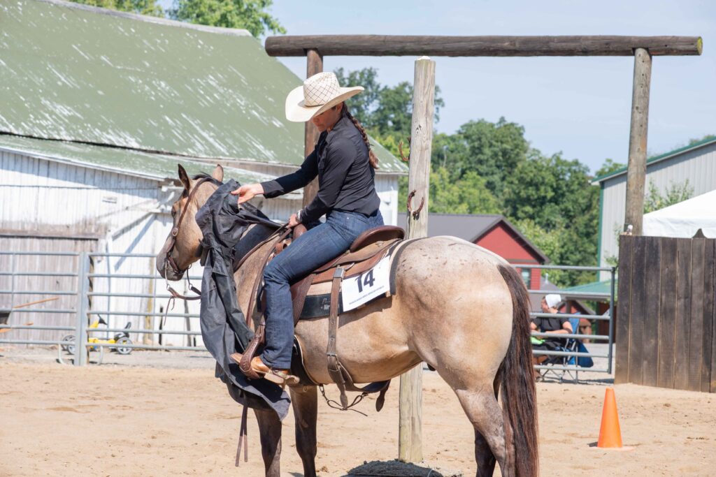 Buckeye Ranch Horse Futurity