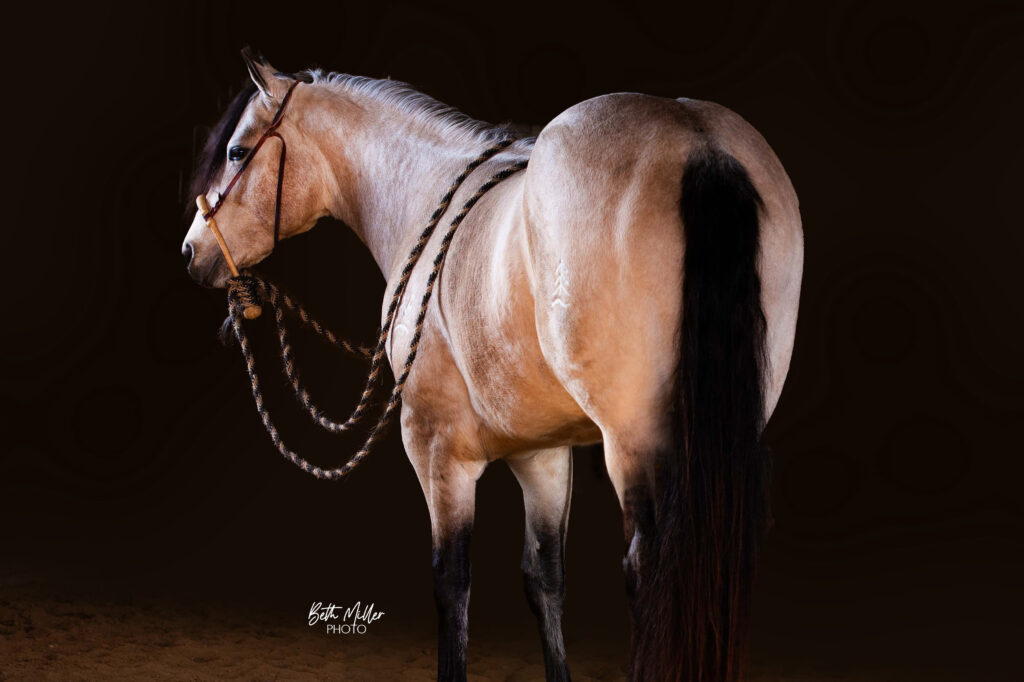 PA Buckeye Easy Gold