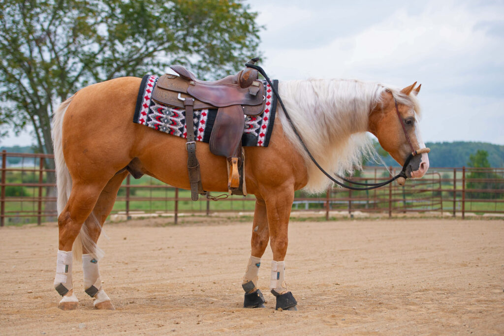 Call Me Old Fashiond