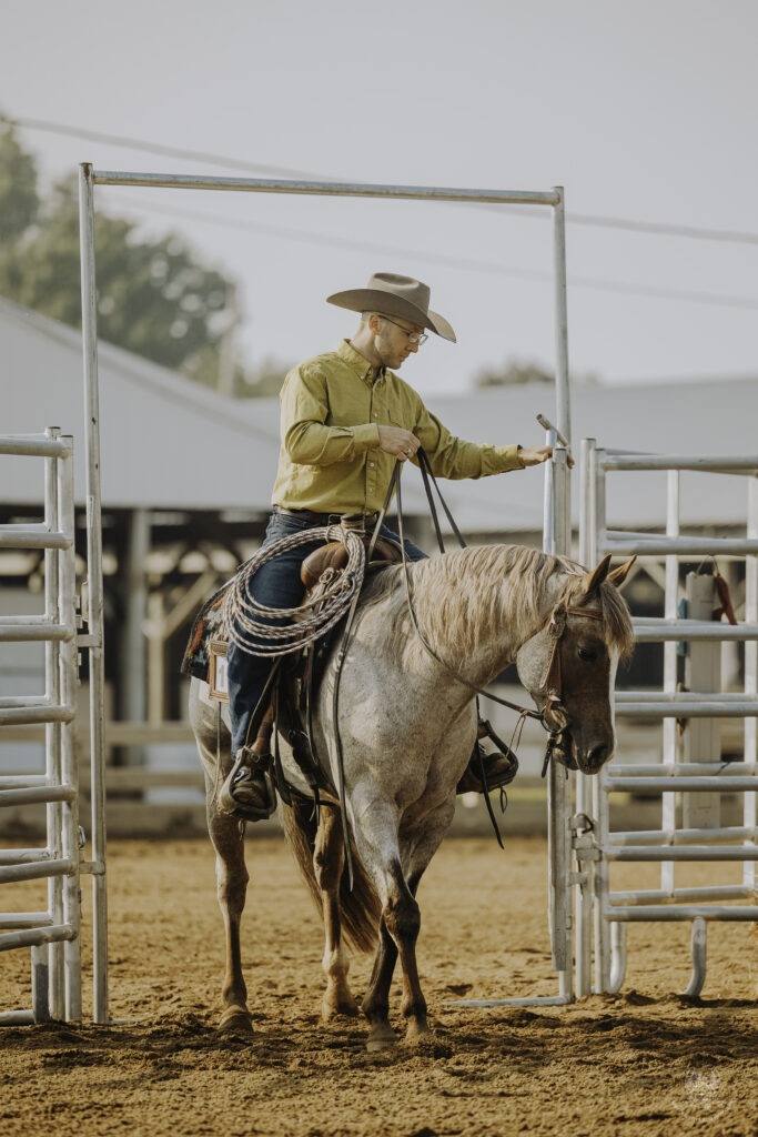 Metallic Berry, Red Roan AQHA Stallion