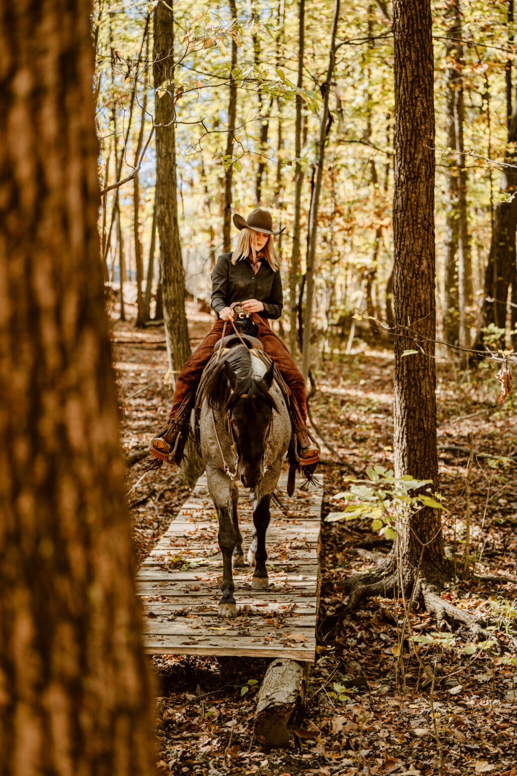 MS Leo Blue Hancock, Blue Roan AQHA Stallion