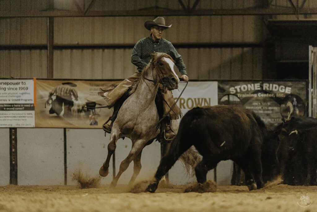 Metallic Berry, Red Roan AQHA Stallion
