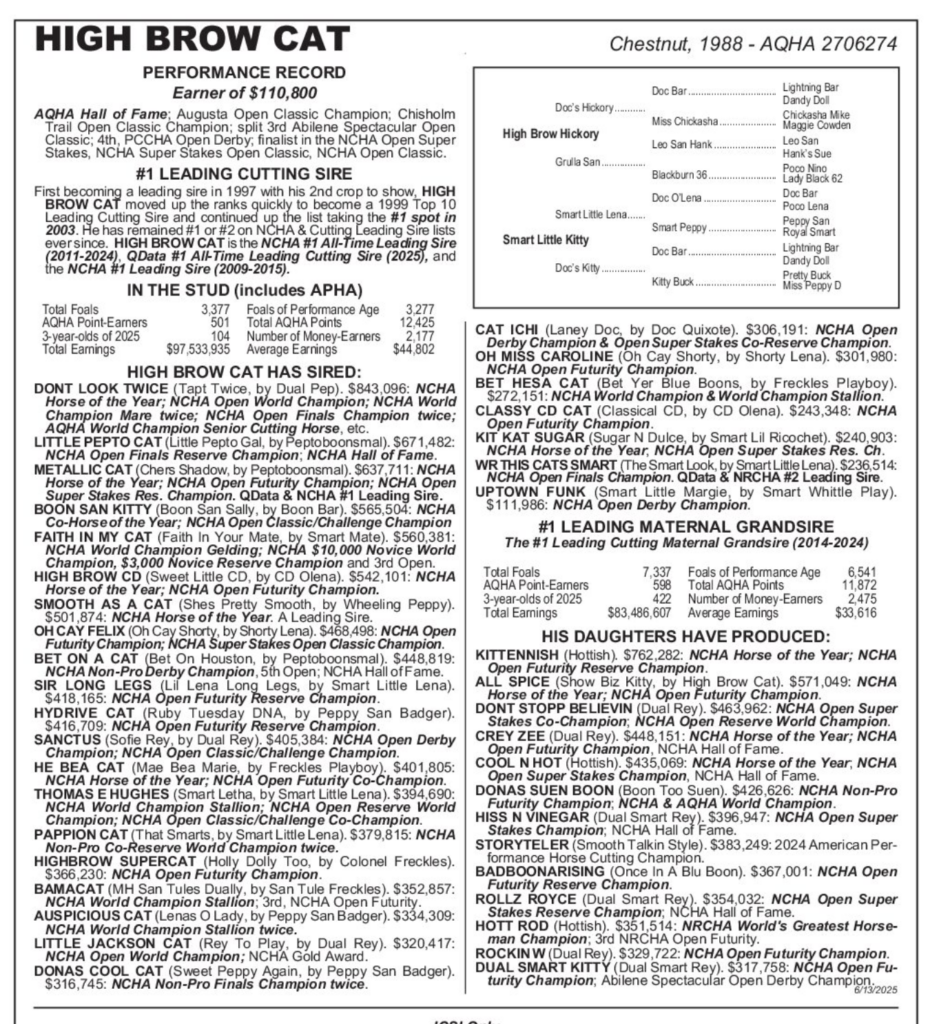 Highbrow Cat Black Type